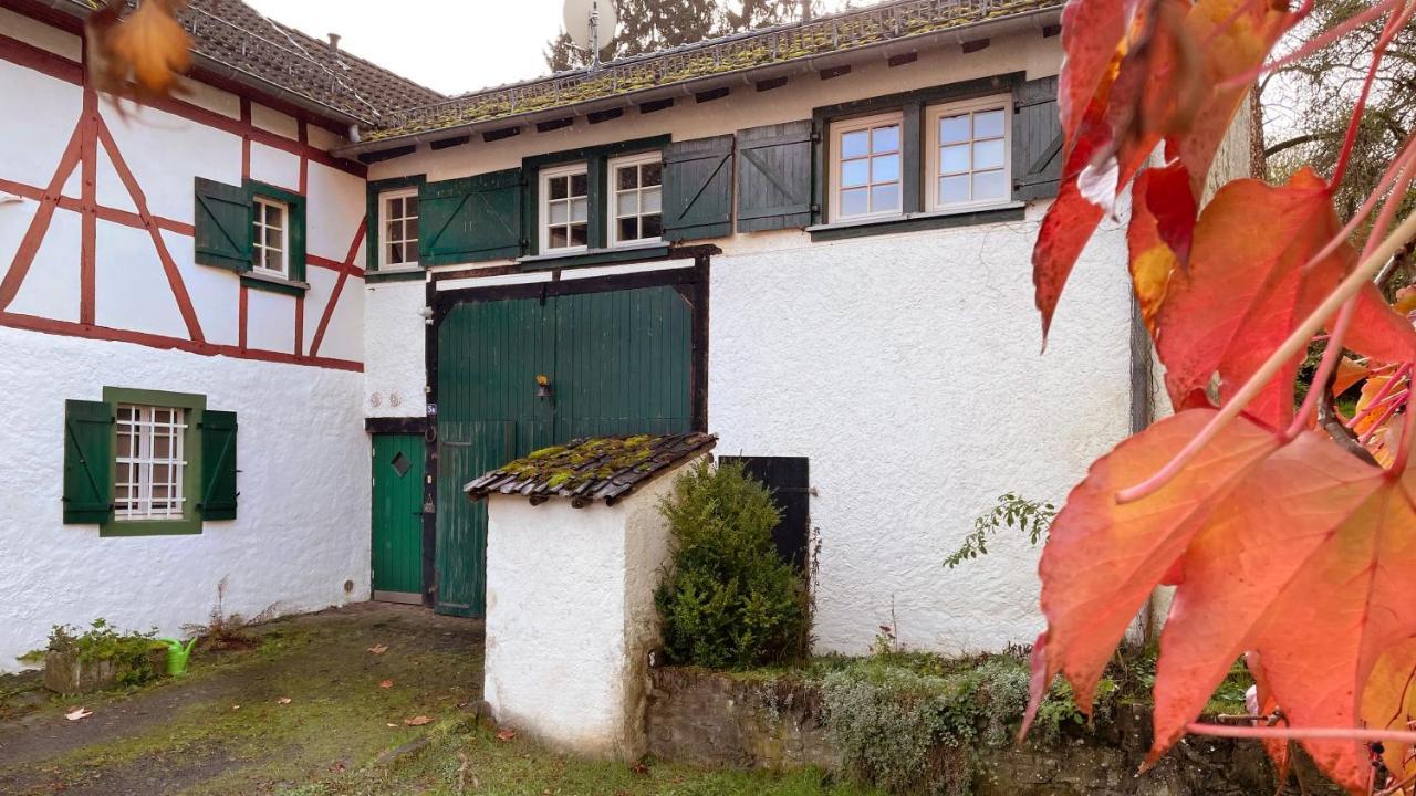 Zum Goldenen Schaf II Leilighet Ahrdorf Eksteriør bilde