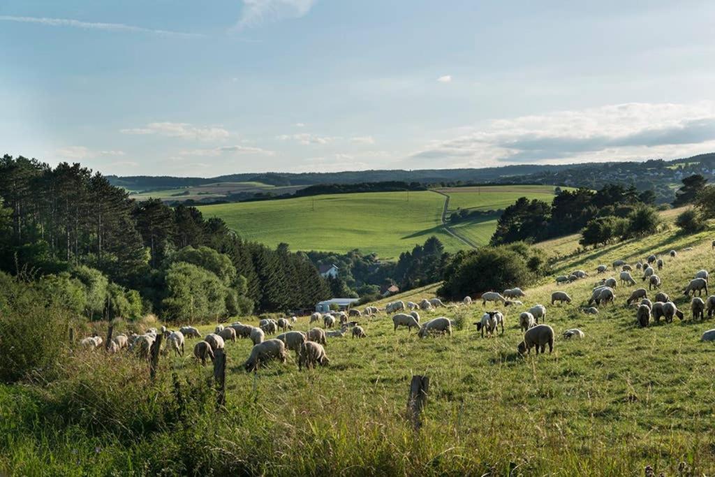 Zum Goldenen Schaf II Leilighet Ahrdorf Eksteriør bilde