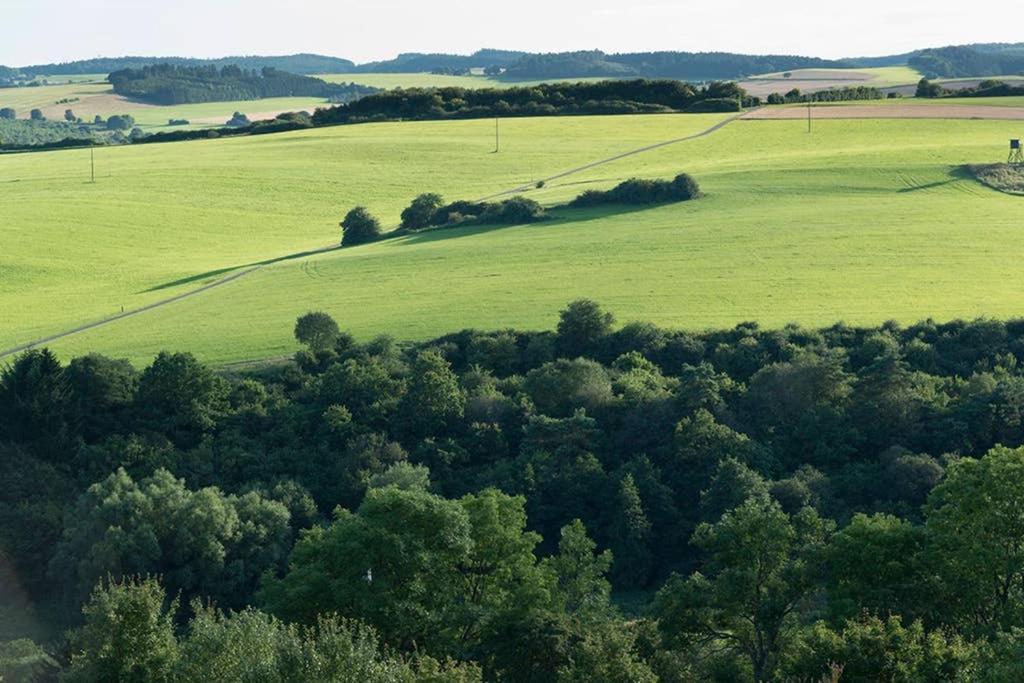 Zum Goldenen Schaf II Leilighet Ahrdorf Eksteriør bilde