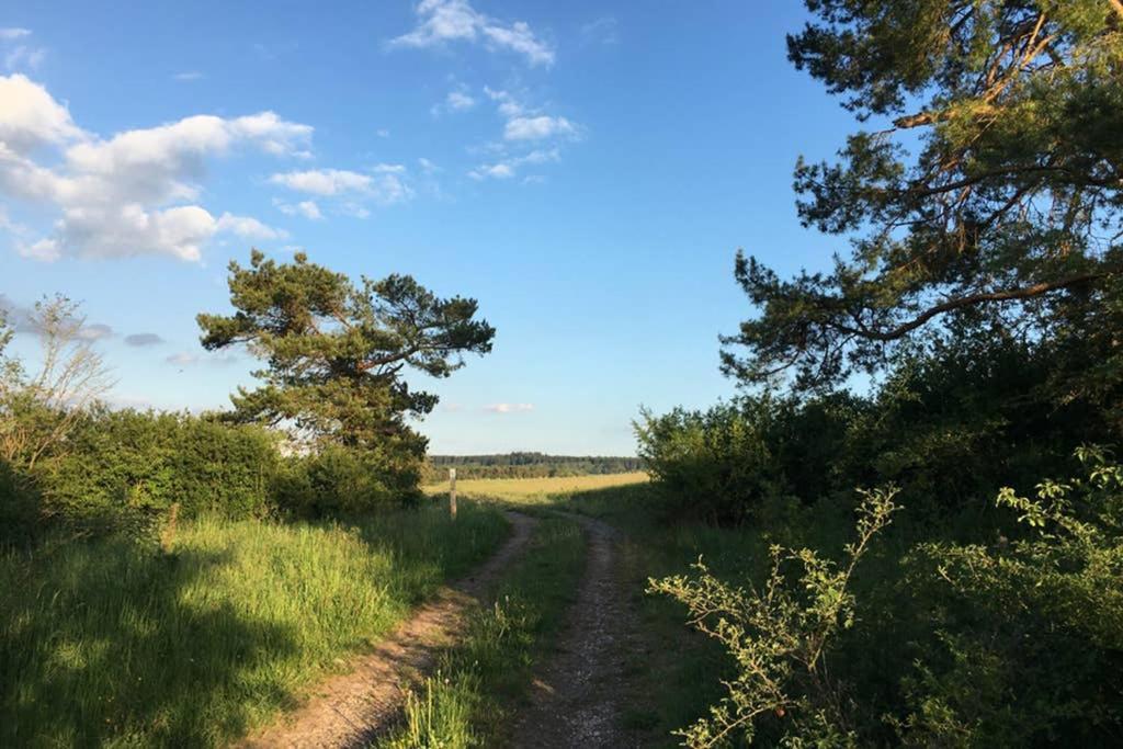 Zum Goldenen Schaf II Leilighet Ahrdorf Eksteriør bilde