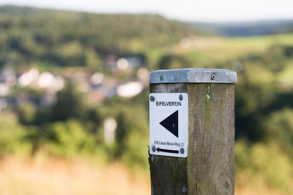 Zum Goldenen Schaf II Leilighet Ahrdorf Eksteriør bilde